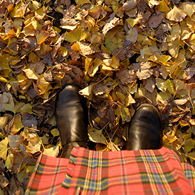 「穏やかな日。」(2006)